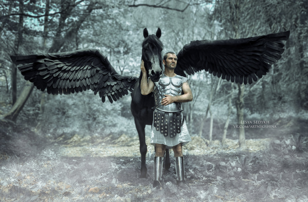 Perseus and Pegasus - Леся Седых