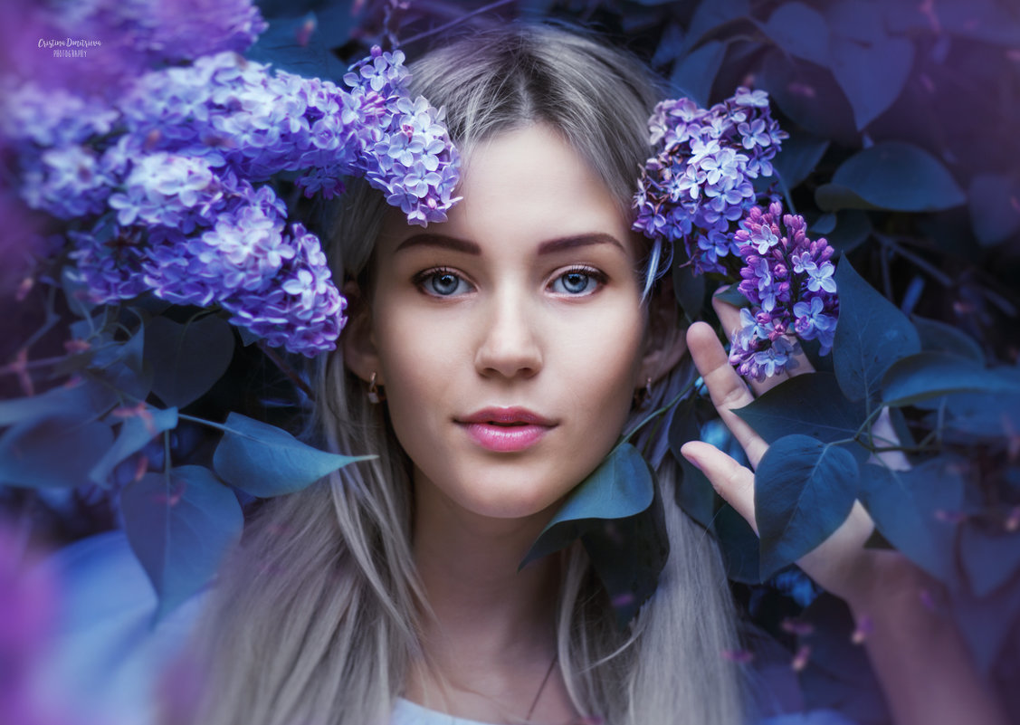 Lilac - Кристина Дмитриева