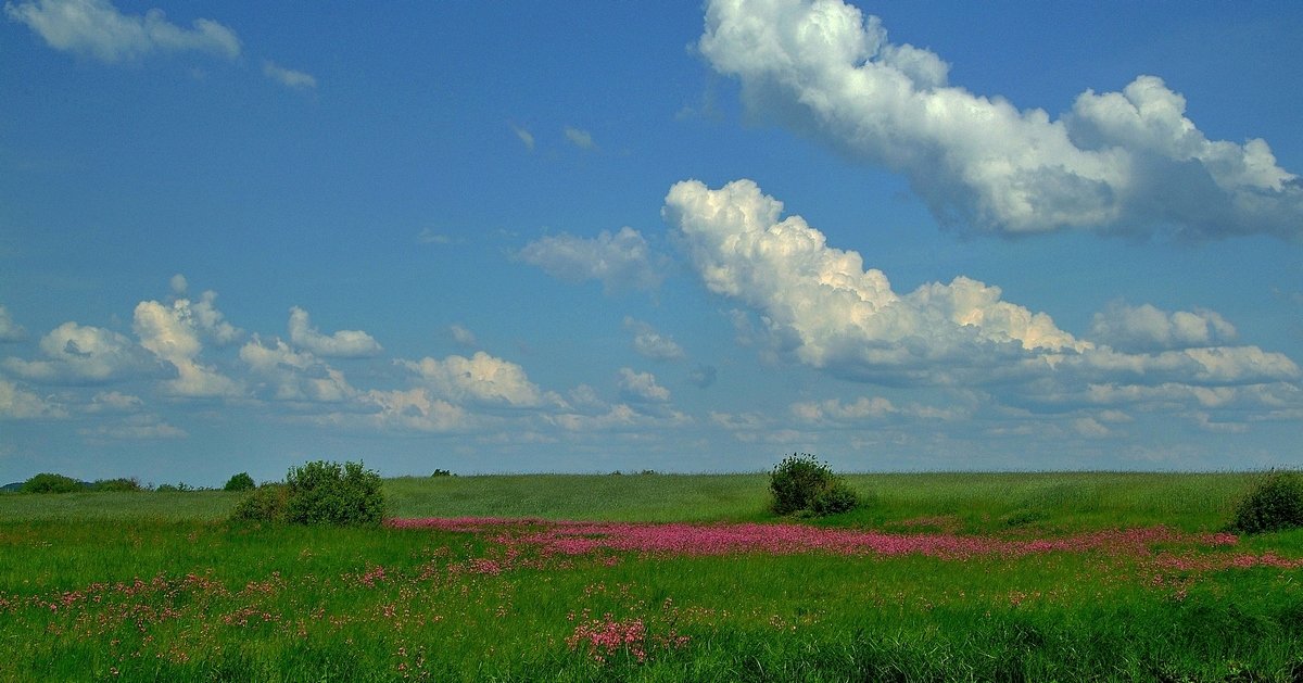 Накануне лета.. - Юрий Анипов 