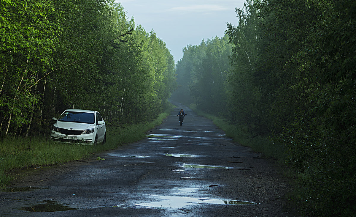 Путник - Яков Реймер