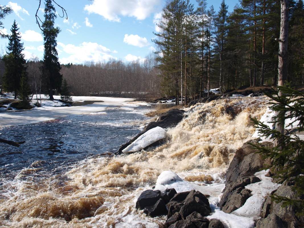 Карельский водопад - Ольга ОК Попова