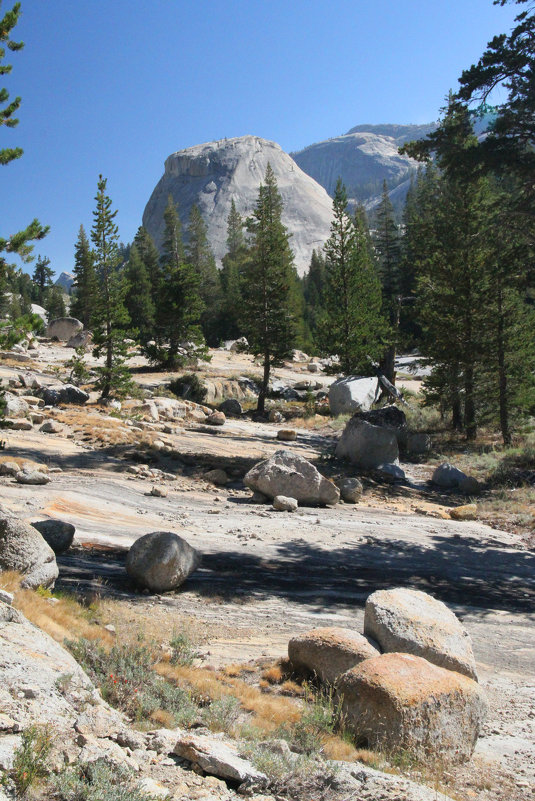 В  национальном парке Йосемити - lady-viola2014 -