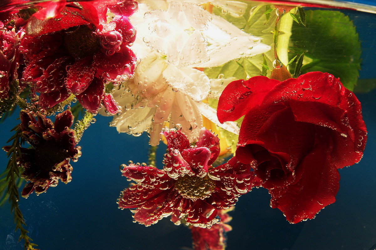 Цветы в аквариуме - людмила Миронова