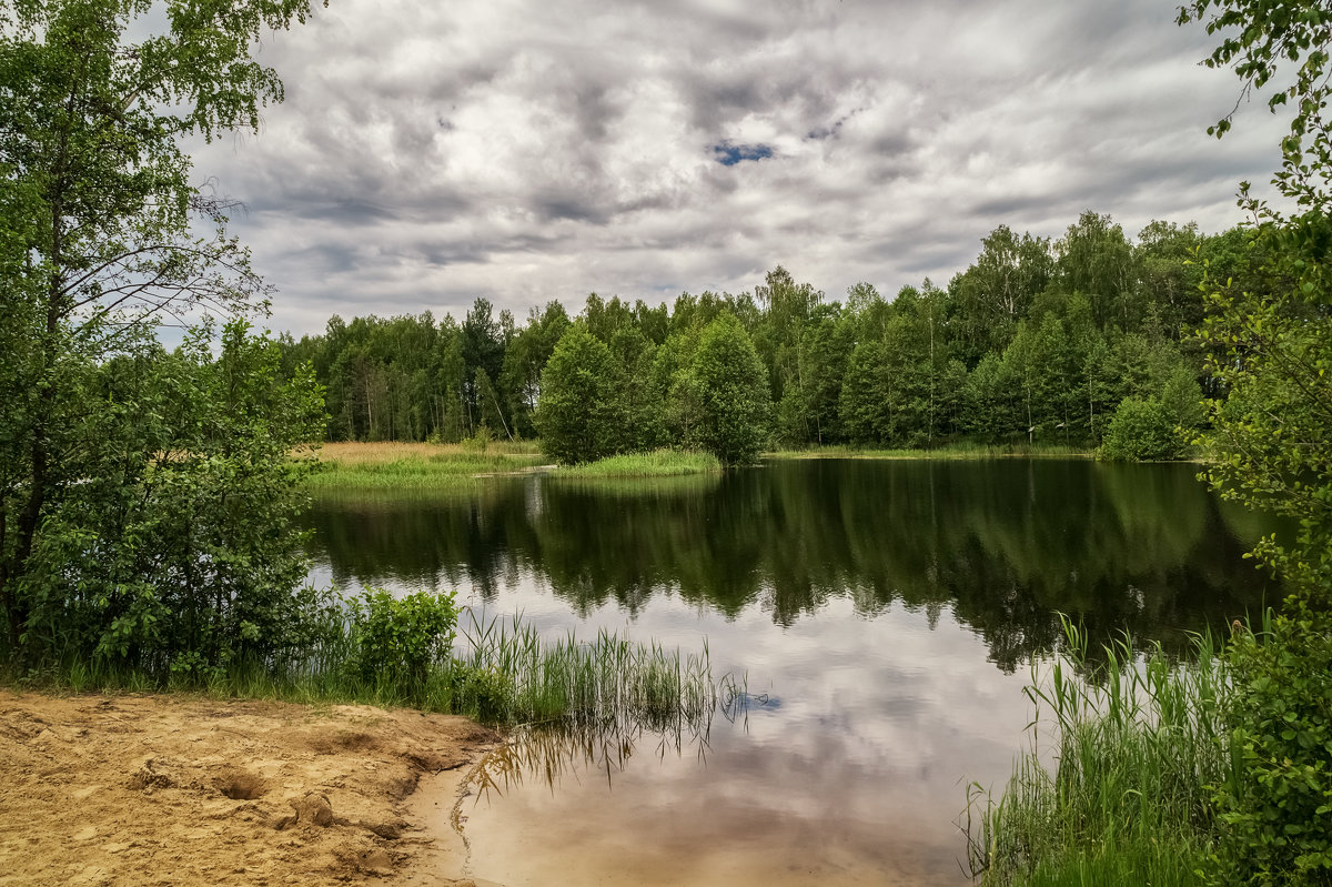 Лесное озеро - Андрей Дворников