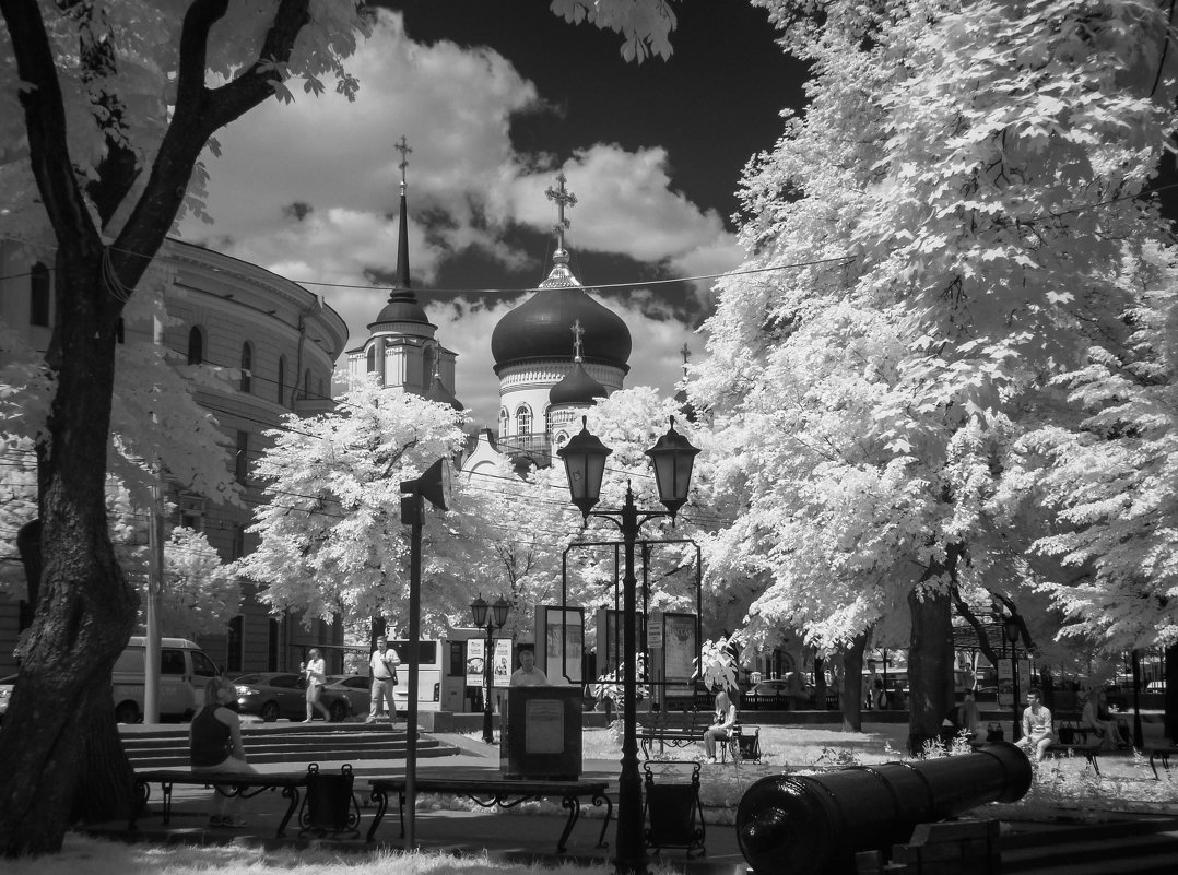 Воронеж. Петровский сквер :: Андрей Воробьев – Социальная сеть ФотоКто