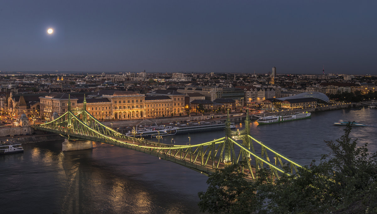 Мост Свободы в Будапеште - Борис Гольдберг