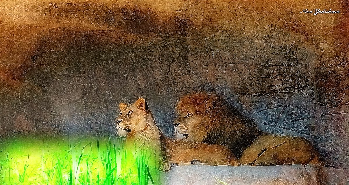 Львица и лев - Nina Yudicheva