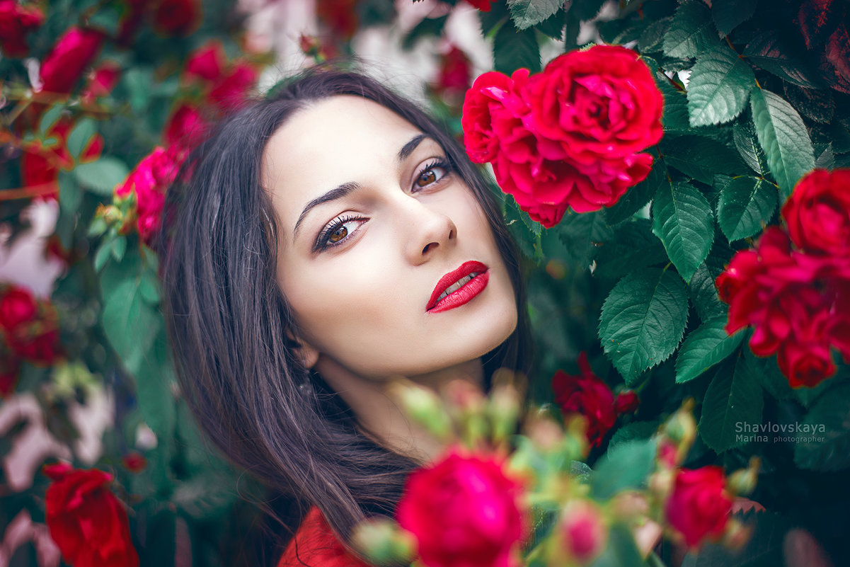 красная роза - Марина Шавловская