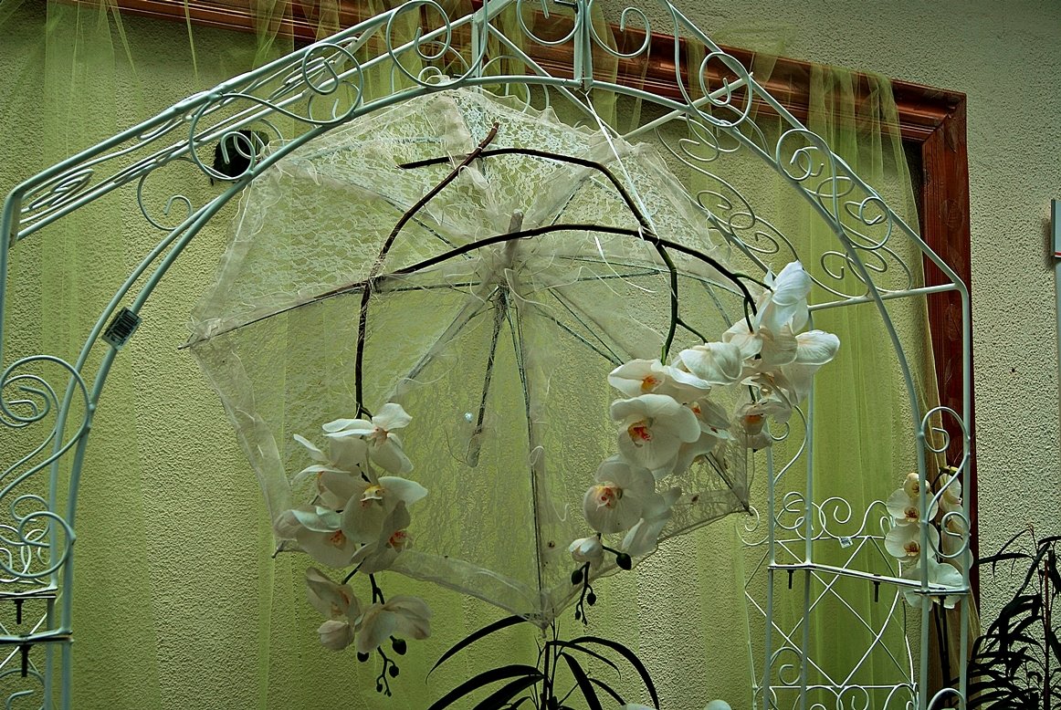 зонт и орхидеи - Александр Корчемный