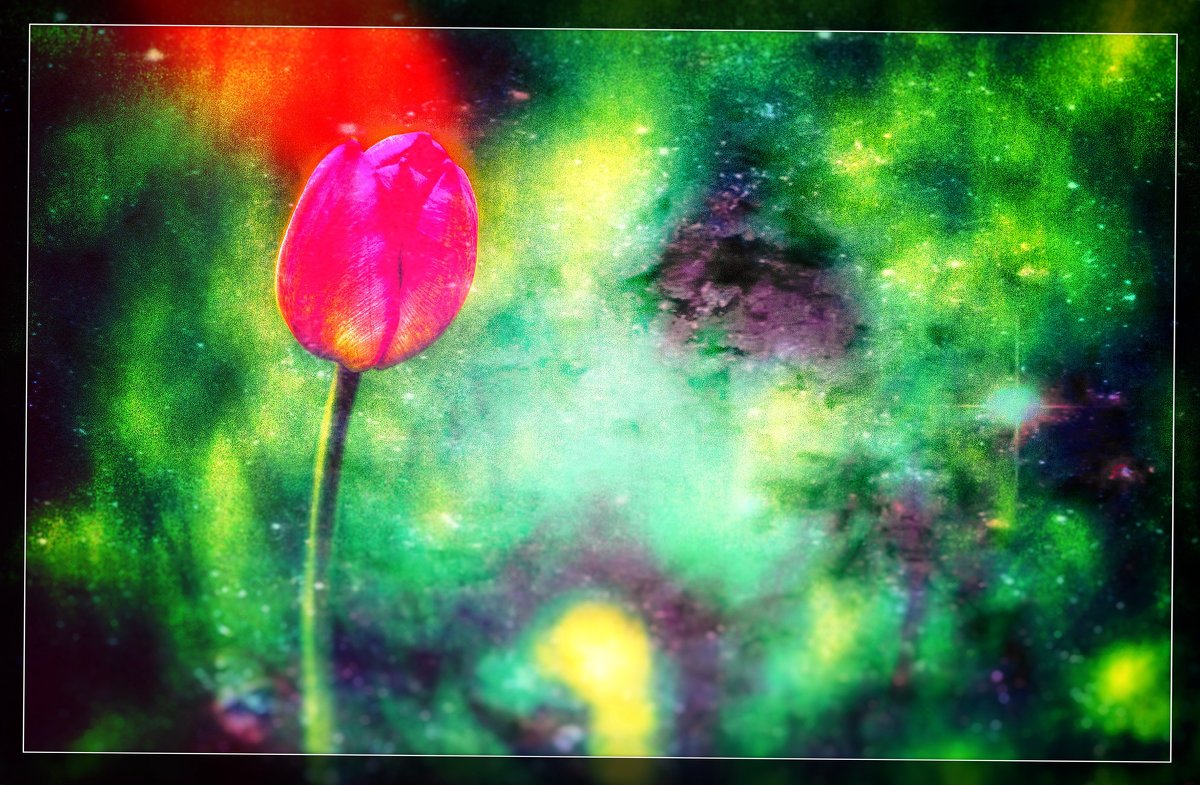 Тюльпан в картине - Мария Гриднева
