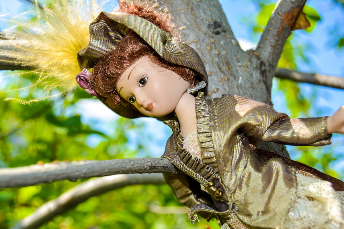 Леди на дереве - Света Кондрашова