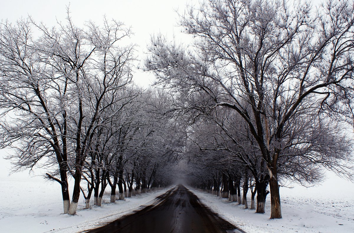 дорога в зиму - валентин яблонский