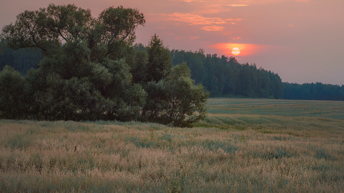 Родное - IgorVKIv 