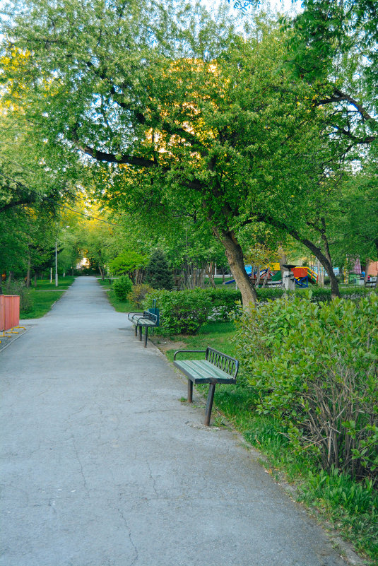парк - Света Кондрашова