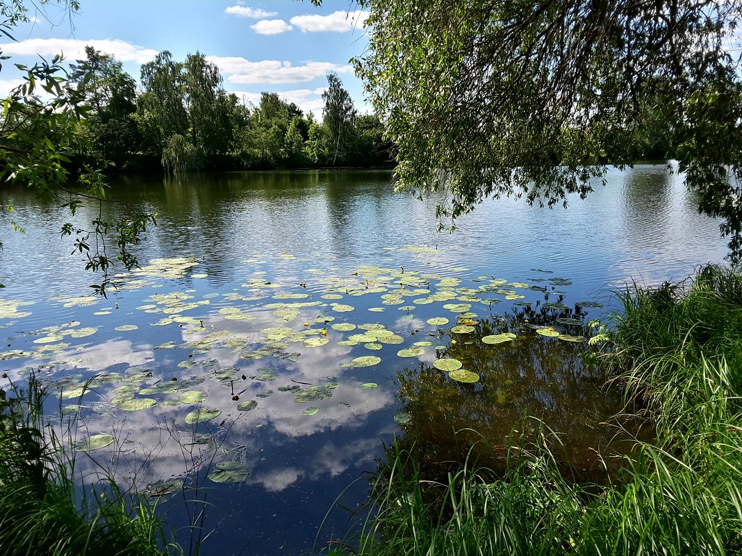 В усадьбе Архангельское - Алла ************