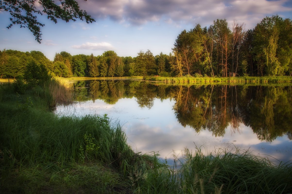 *** - Андрій Кізима