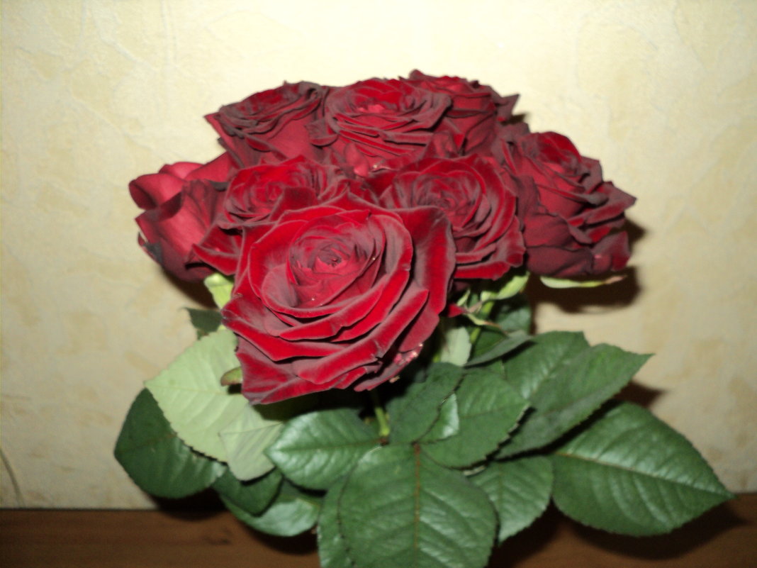 розы - Светлана Егорова