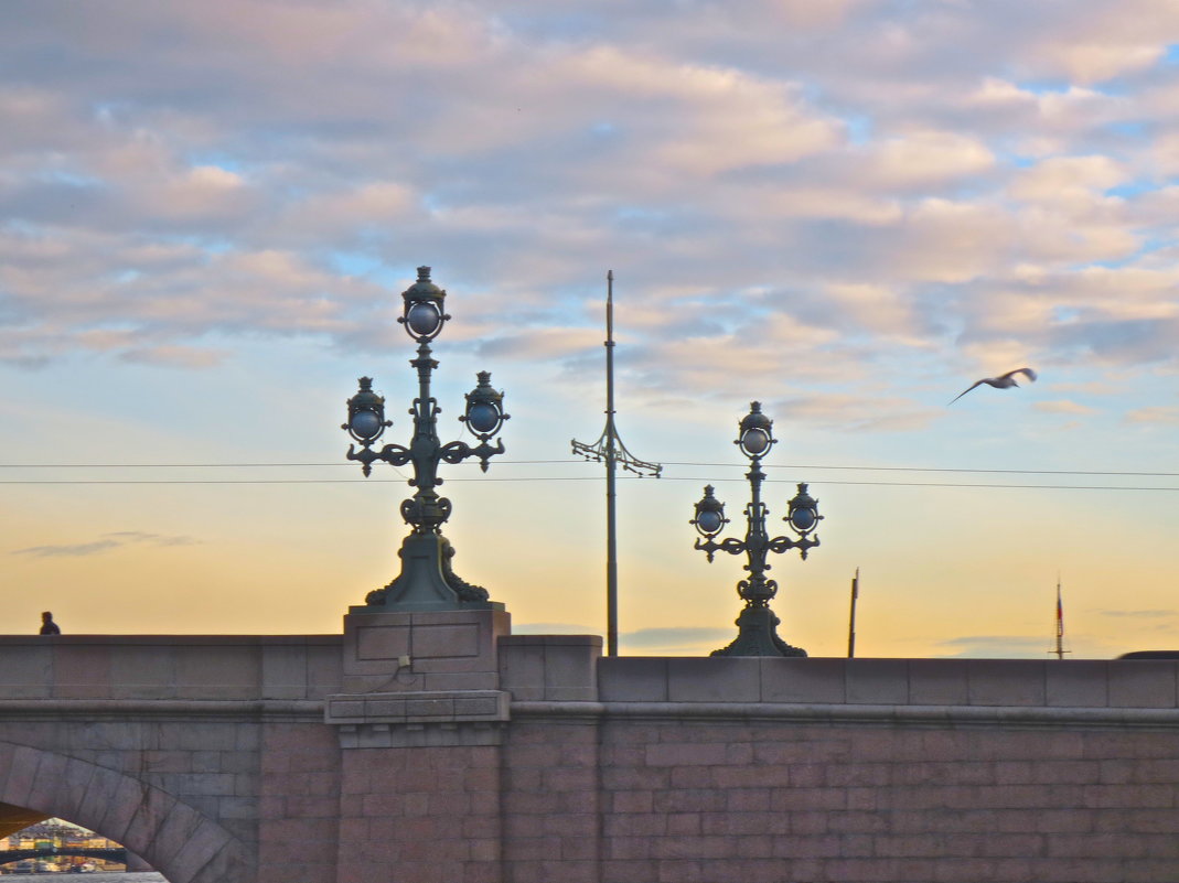 фонари Троицкого моста - Елена 
