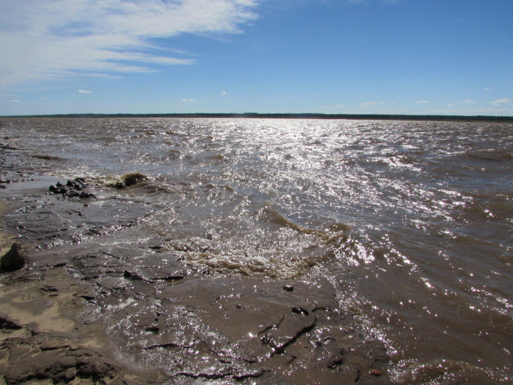 Река Мезень во время прилива ( Мезенский район) - Александра Карпова