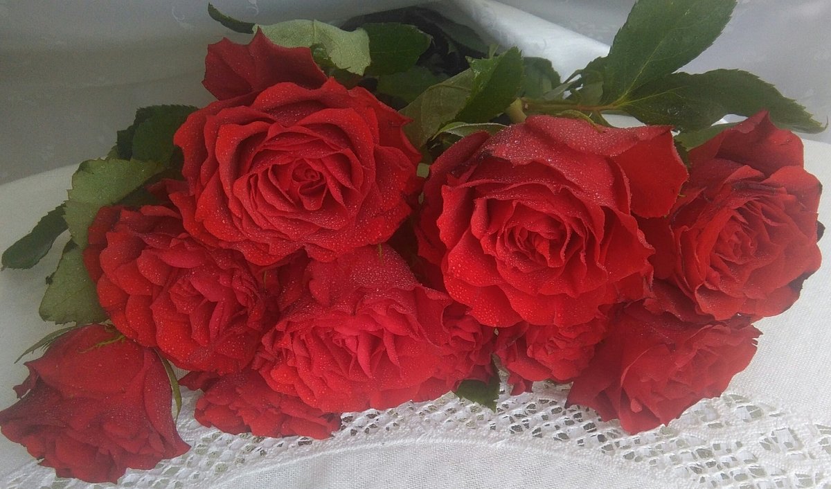 Красные розы - Mariya laimite
