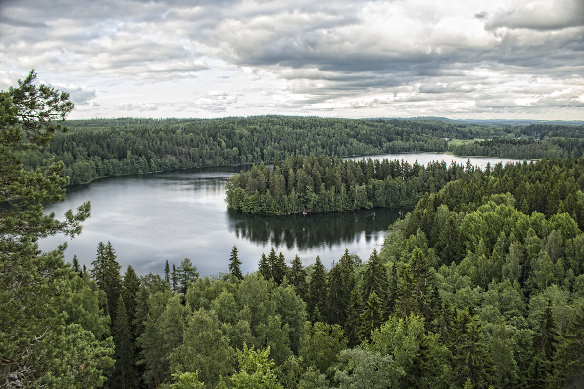 Финляндия Хельсинки природа лес