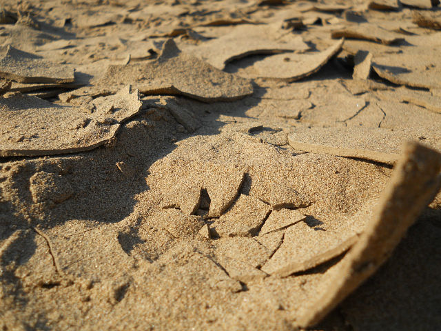 Песочные руины - Яна Лячина