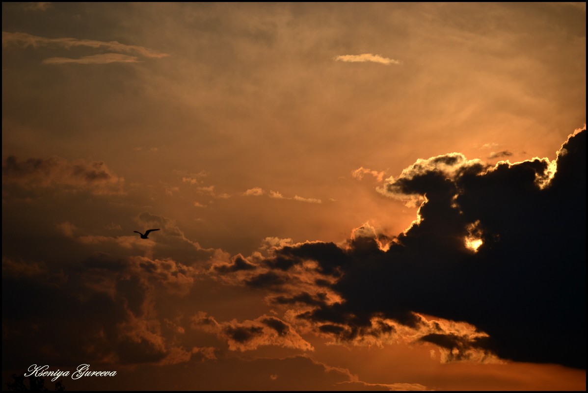 Облако закрывающее солнце - Ксения 