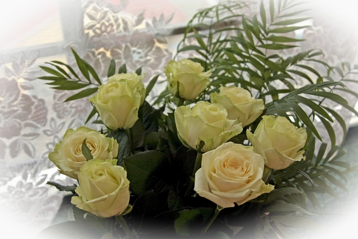 белые розы..ю - Надежда Шемякина