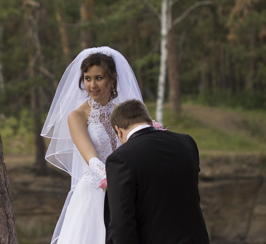 Жених и невеста - Александр Ширяев