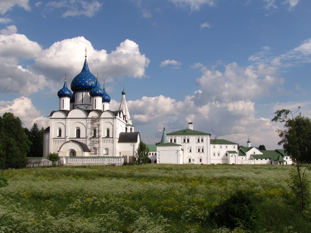 Суздаль, Кремль - галина северинова