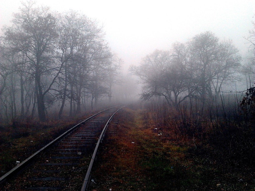 Туман... - Анна Кравченко