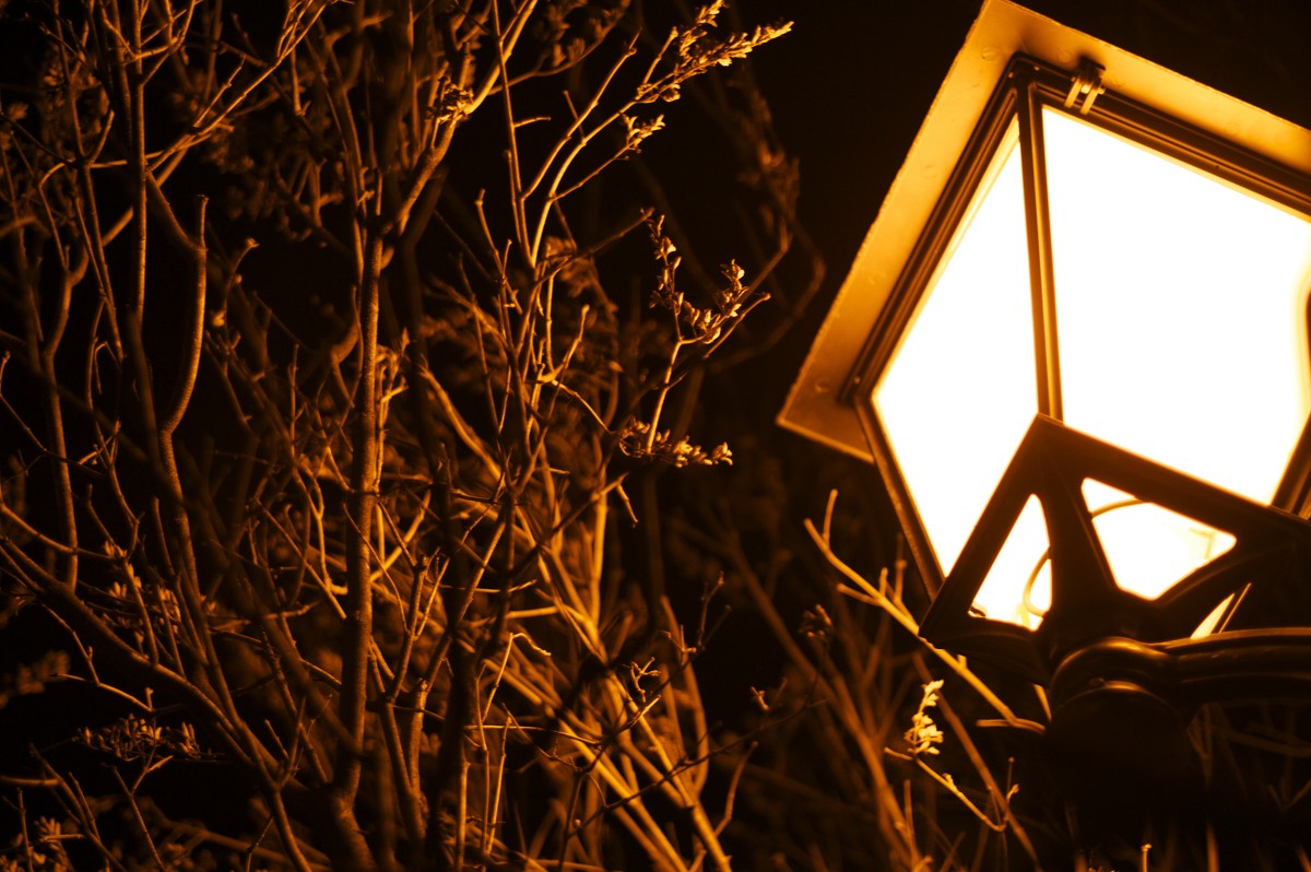 street, lamp, farmacy - Vladimir Sukhov