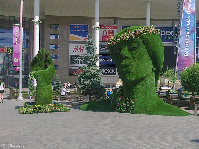 Зелёная голова - Любовь Бутакова