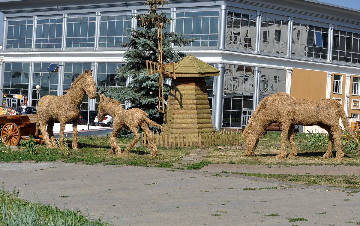 Соломенные кони, - Алексей .