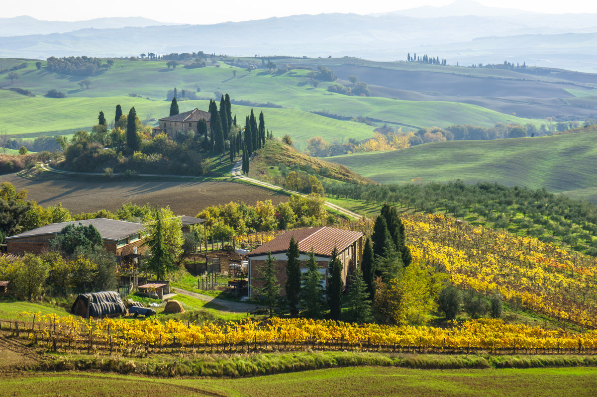 Соседи.     Из серии "Toscana - amore mio" - Ашот ASHOT Григорян GRIGORYAN