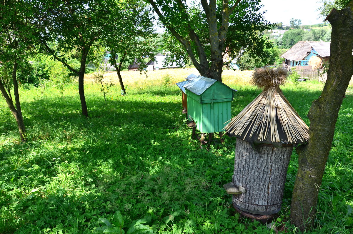 Міженець - Юрій Федчак