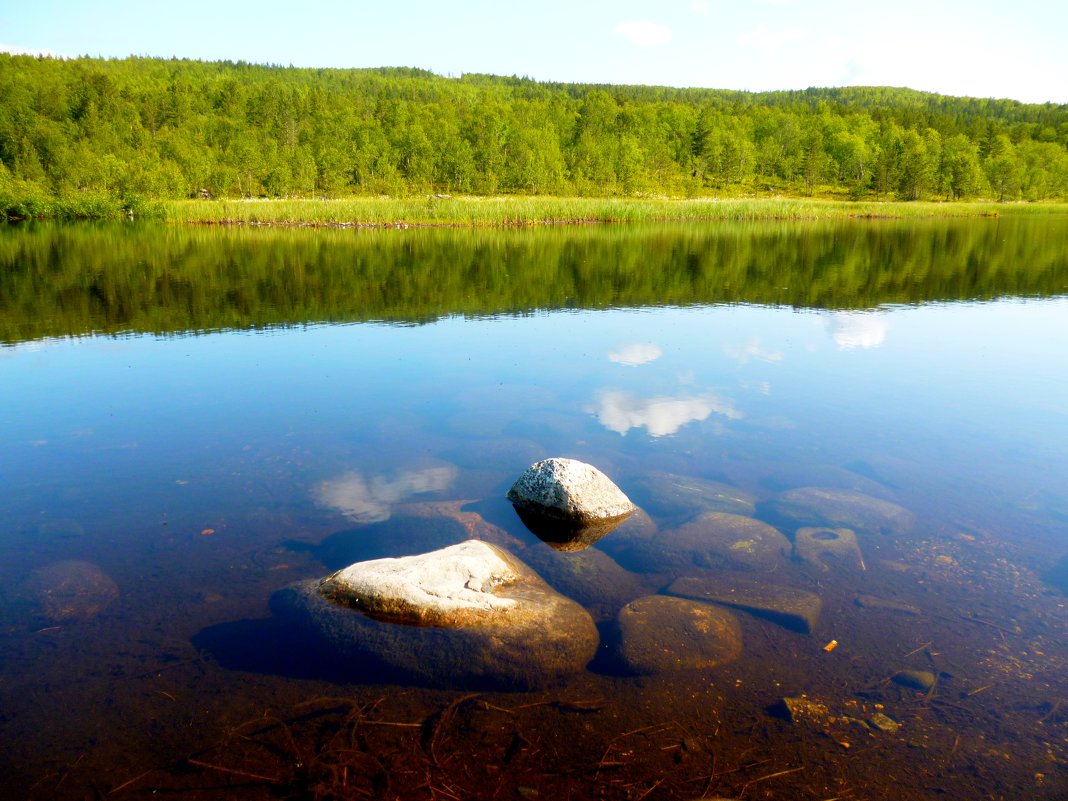 Камни в воде - Алексей Вольный