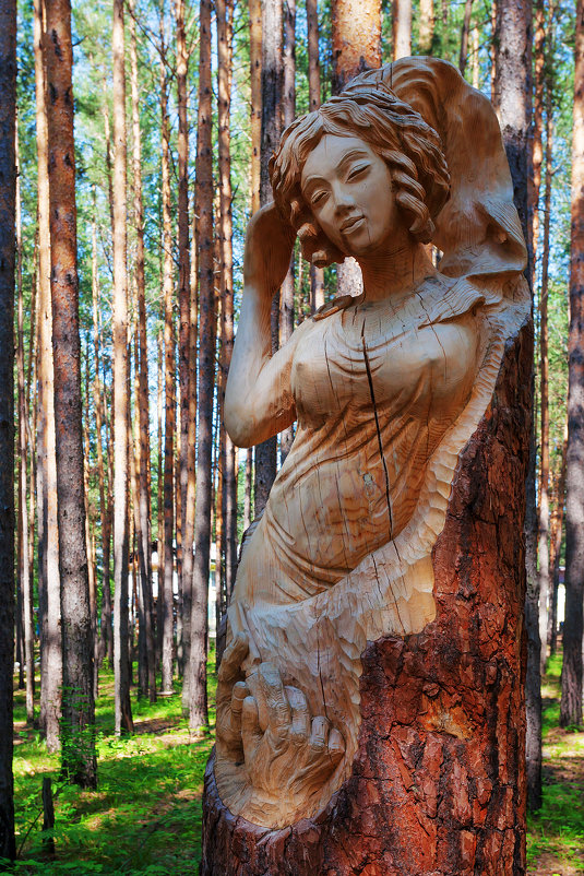 Скульптура из дерева - Анатолий Иргл