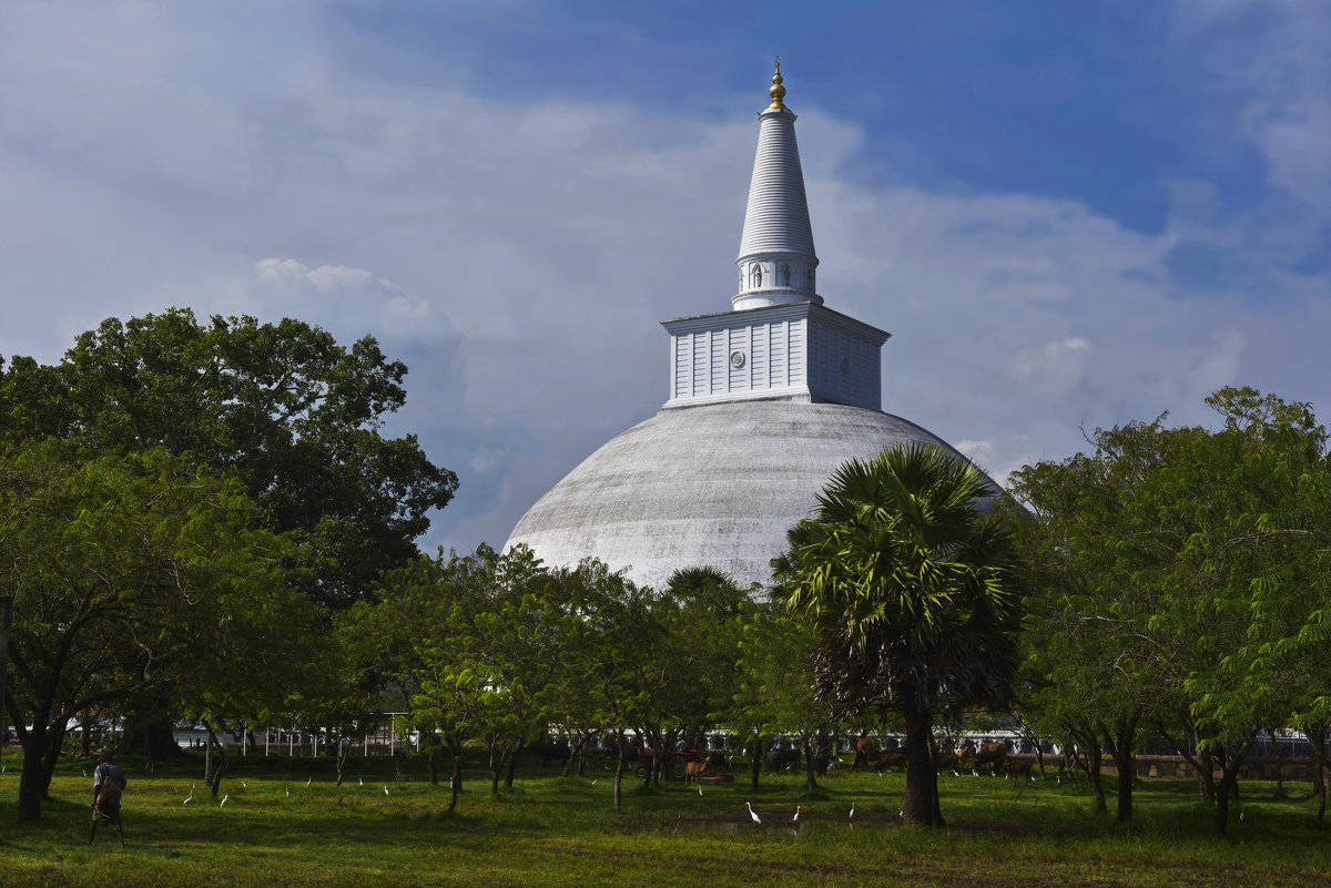 Анурадхапура. Цейлон. Ступа (Дагоба) Руанвели.  Anuradhapura. Ceylon. Stupa (Dagoba) Ruanveli. - Юрий Воронов
