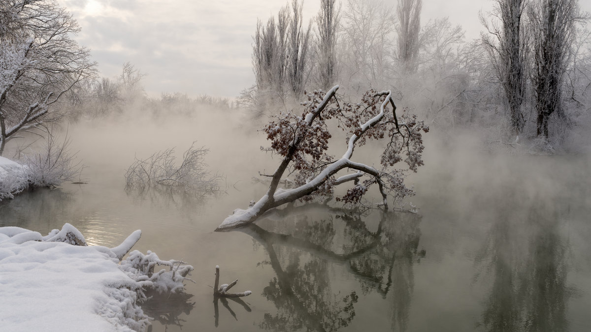 Туман над водой - Александр Плеханов
