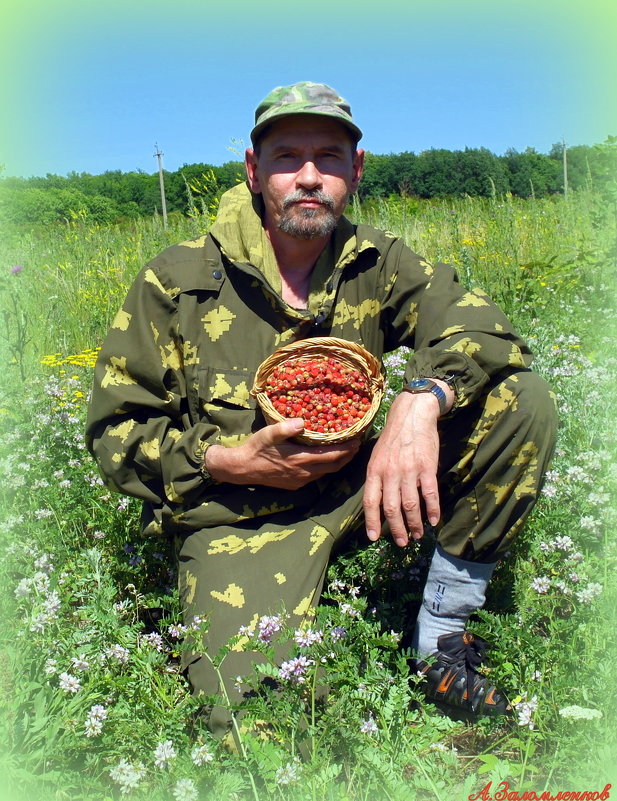 На земляничных полянах - Андрей Заломленков