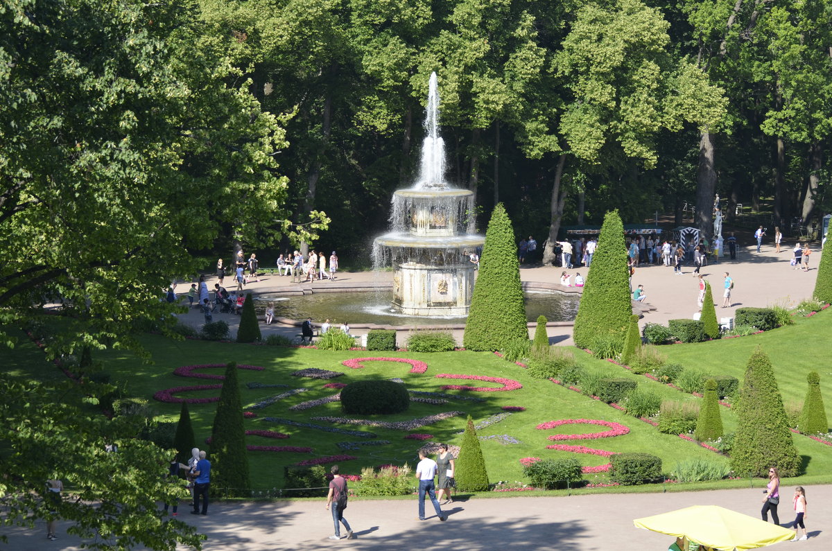 в Петергофе - Михаил Радин