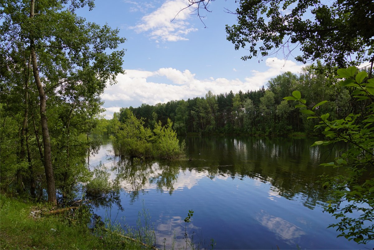 Яркое лето - Наталия Григорьева