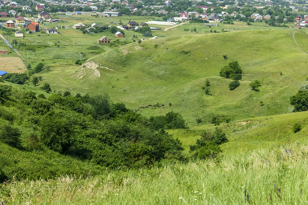 Окрестности моего города - Игорь Сикорский