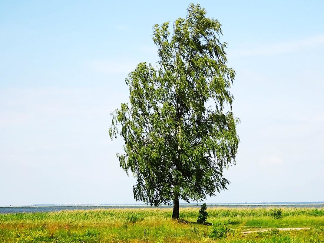 На семи ветрах... - Маргарита Батырева