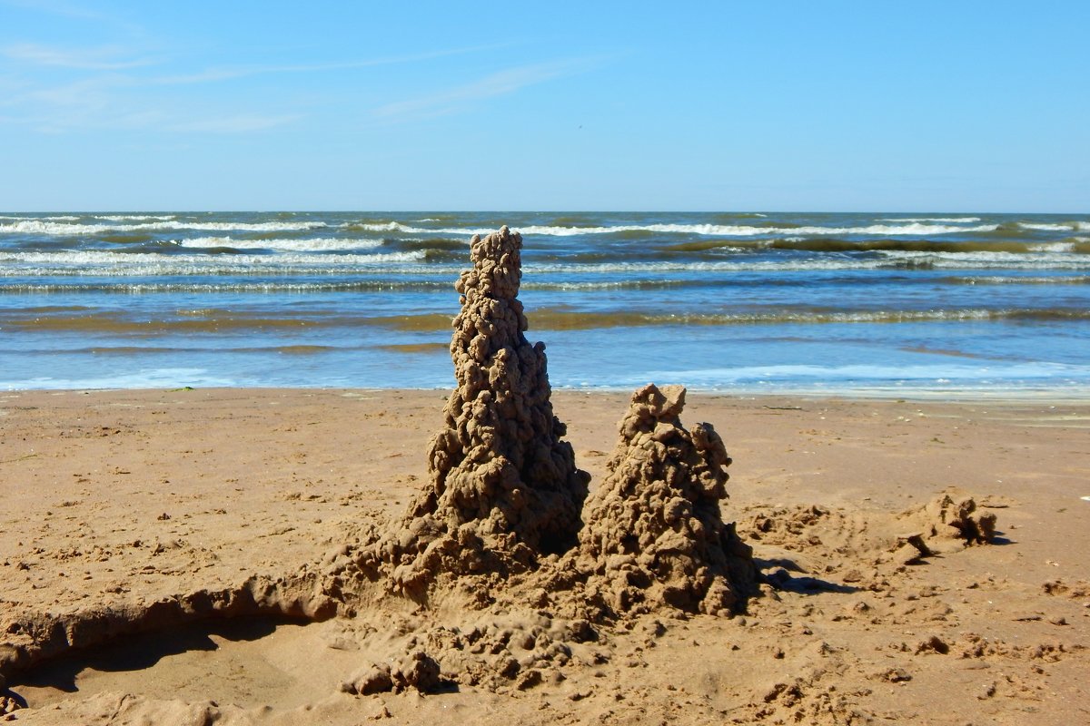 башни на песке - linnud 