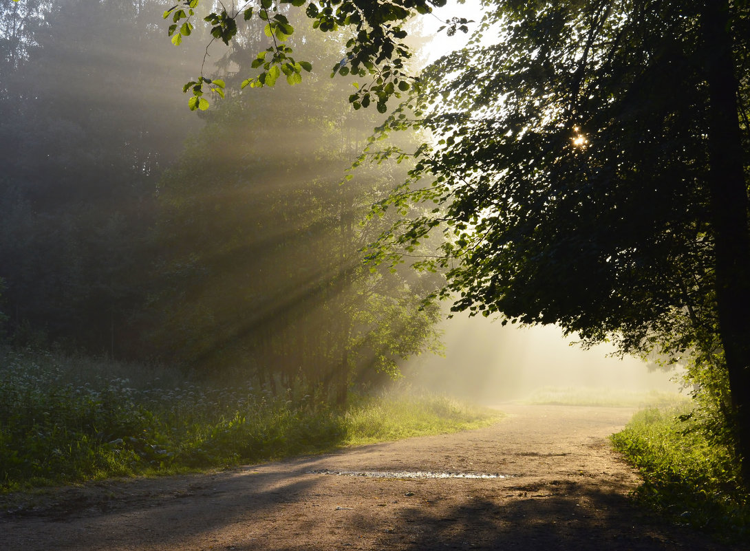 В парке.... - Юрий Цыплятников