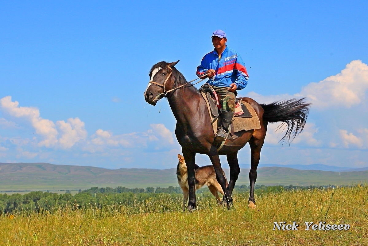 *** - Николай Елисеев