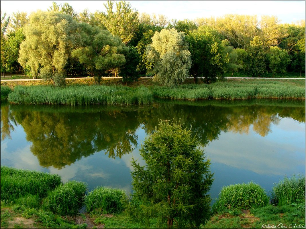 Искупались в облаках - °•●Елена●•° ♀