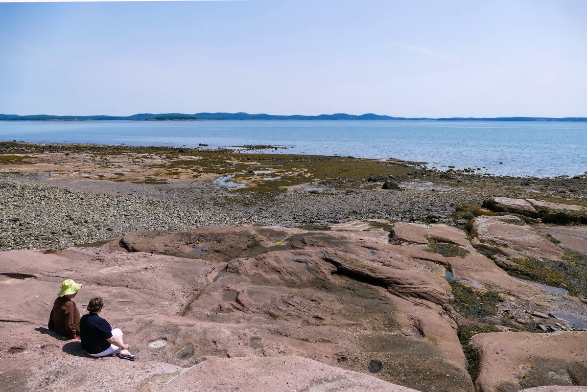 Туристы на океанском дне. Остров Ministers Island во время отлива. Залив Fundy (Канада) - Юрий Поляков